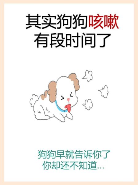 狗 咳嗽( 该怎么办才能让它舒服点)