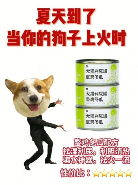 狗上火了怎么办(有什么降火的小妙招)