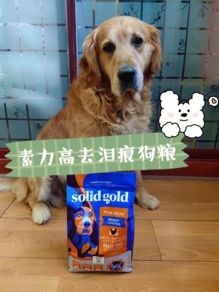 狗上火了怎么办(有什么降火的小妙招)