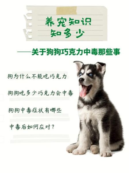 狗为什么不能吃巧克力(为什么不能给它们吃巧克力)