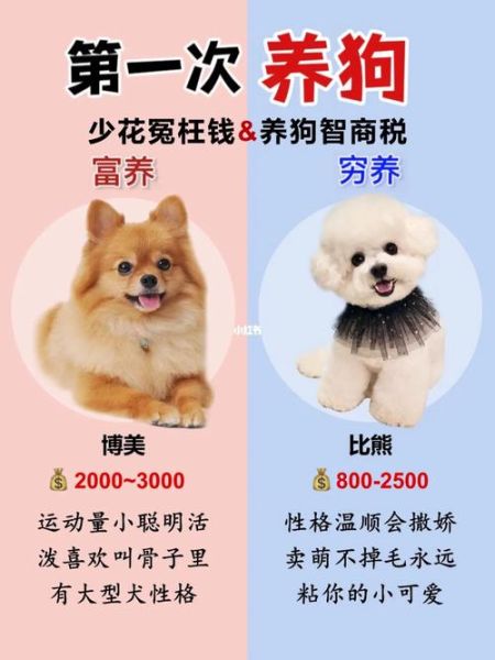 狗价格(养狗到底要花多少钱)