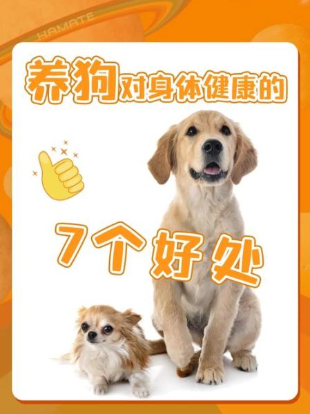狗健康(是不是身体出现了问题)