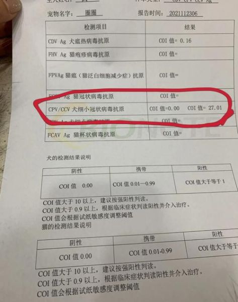 狗冠状病毒能存活多久( 病毒在粪便里能存活多久)
