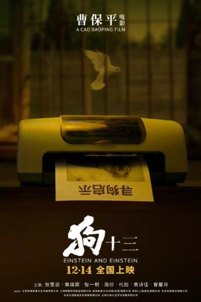 狗十三是什么狗(它为什么叫爱因斯坦)