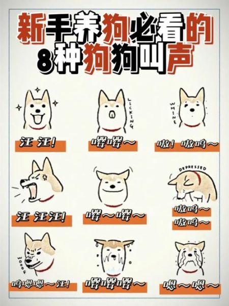 狗叫(不同叫声代表什么意思)