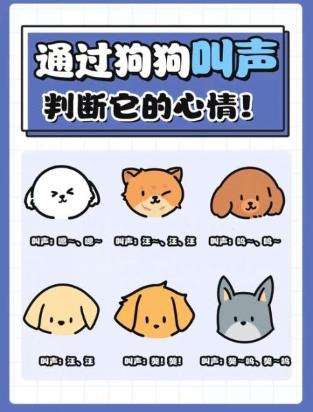 狗叫不叫(是不是生病了)