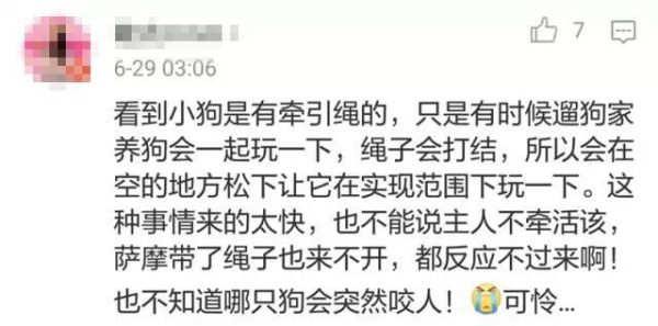 狗吃人(究竟是谁的错)