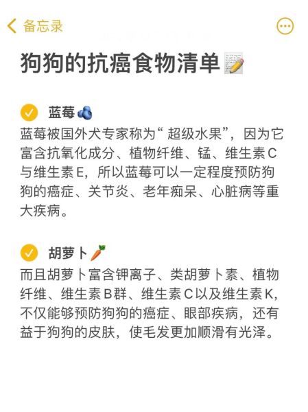 狗吃什么对毛好(吃什么能让它更有光泽)