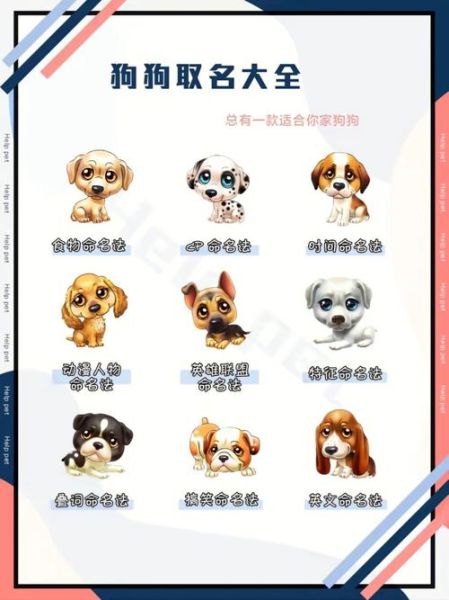 狗名大全(到底怎么选才不撞名)