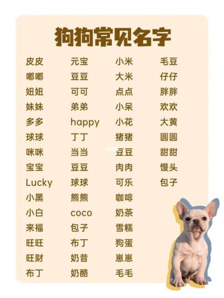 狗名大全(到底怎么选才不撞名)