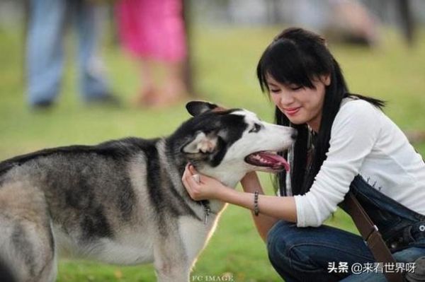 狗和人杂交(真的存在狗人吗)