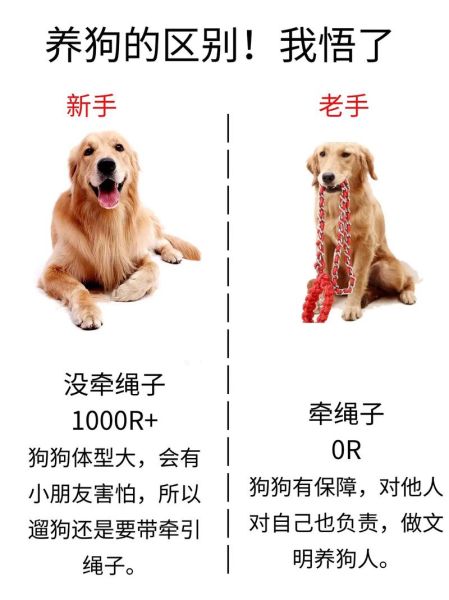 狗和犬的区别(为什么会有两种叫法)