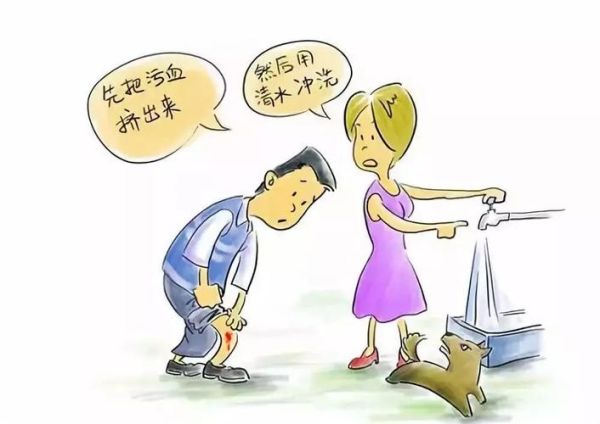 狗咬死猫(谁该为猫的悲剧买单)