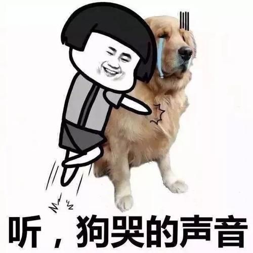 狗哭(藏着怎样的故事)