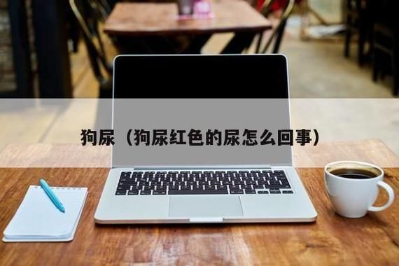 狗尿(还是主人的疏忽)