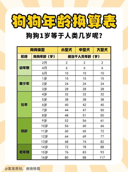狗年龄( 狗狗几年就等于人过了一辈子)