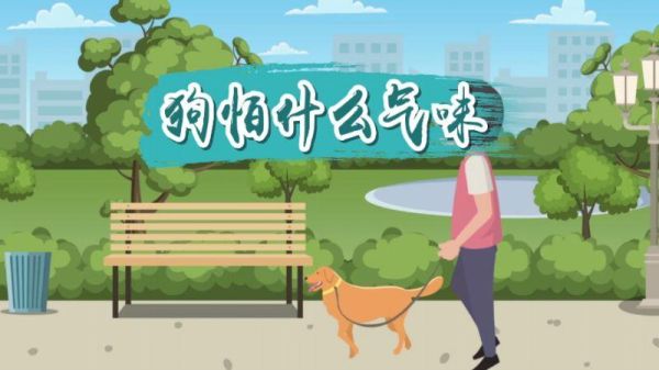 狗怕什么气味(什么气味让它闻到就躲着你)