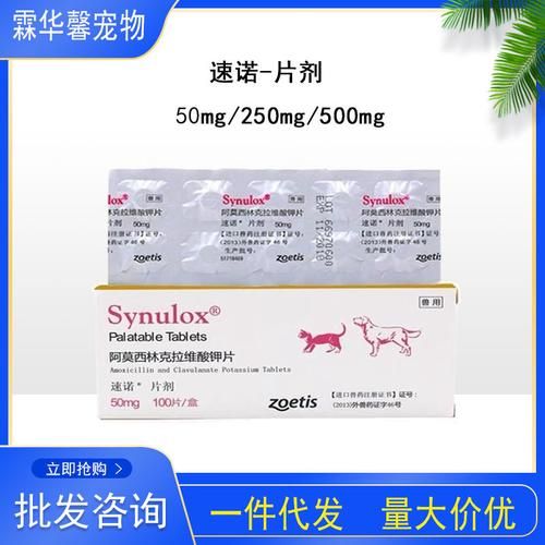 狗感冒了吃什么药(要不要去宠物医院看看)