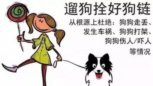 狗扑吓人,该怎么办?遛狗不牵绳,应该怎样做?