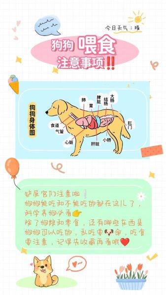 狗护食(你家的狗为什么护食)