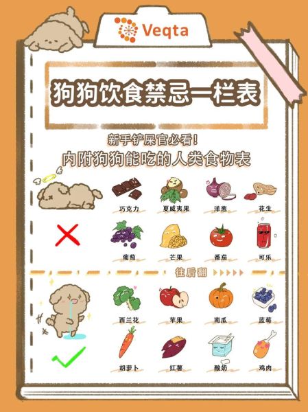 狗狗不能吃的食物(吃生肉会生病吗)
