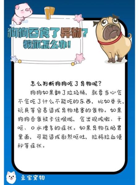 狗狗卡住了怎么办(如何正确处理)