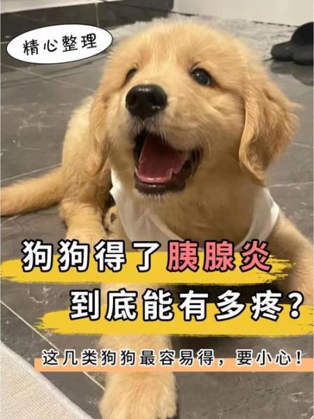 狗狗卡得好疼(它到底有多难受)