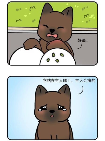 狗狗卡我里面不出来(怎样才能把它弄出来)