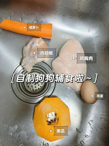 狗狗反刍(应该怎么做才能帮助狗狗)