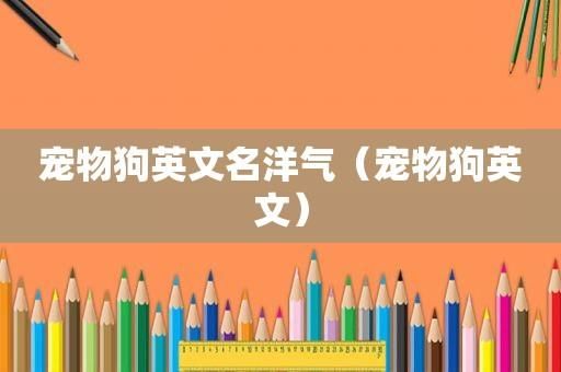 狗狗名字大全 洋气(有哪些好听的英文名)