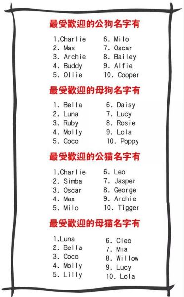狗狗名字大全 洋气(有哪些好听的英文名)