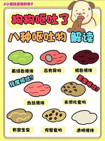 狗狗吐了,是食物不对还是肠胃有问题?该怎么判断?
