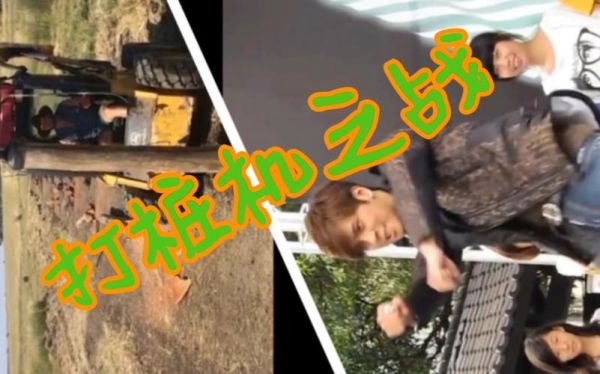 狗狗太快了像打桩机( 像打桩机一样快)