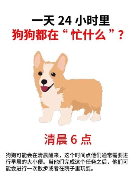 狗狗好厉害半个小时(这是在表达什么)
