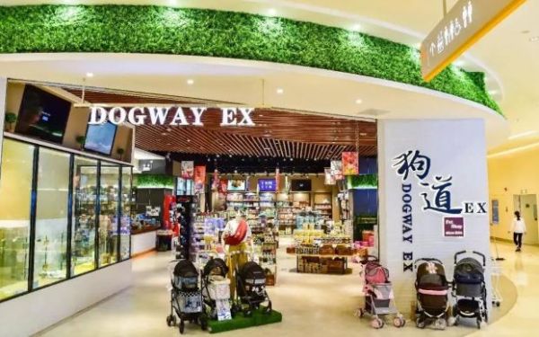 狗狗宠物店(有什么推荐吗)