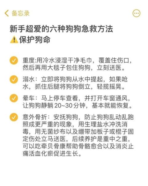狗狗急救中心( 狗狗急救中心靠谱吗)