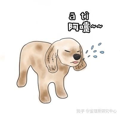 狗狗打喷嚏(还是它在用这种方式表达爱意)
