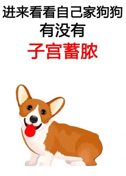 狗狗放我子宫里面突然变大怎么办(是不是要赶紧去医院)