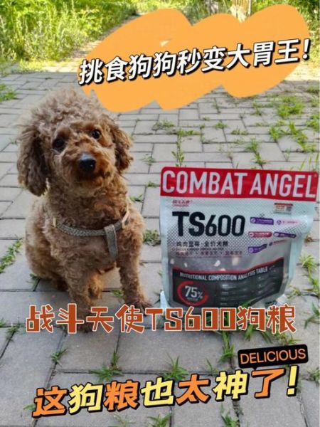 狗狗放里面突然变大(是食物变大了还是狗狗变大了)