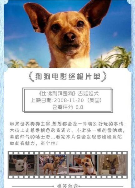 狗狗电影下载( 狗狗电影下载网站哪个靠谱)