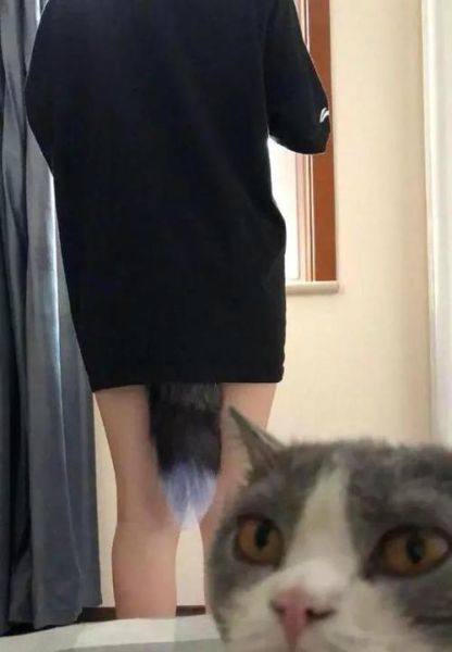 狗狗的大东西卡在b里(美女怎么脱身)