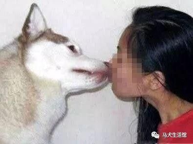 狗狗的大东西卡在b里(美女怎么脱身)