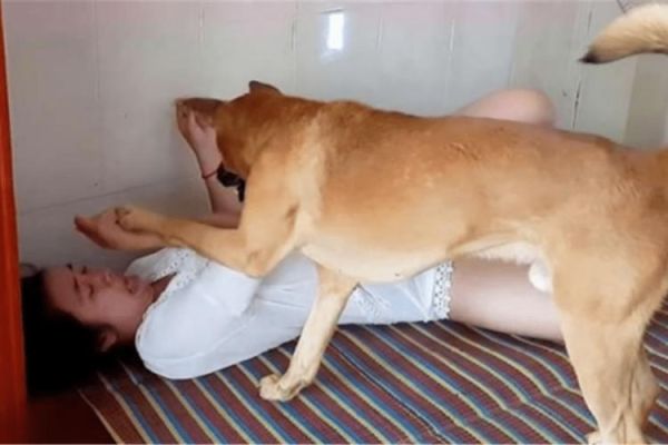 狗狗的大东西在人里什么感觉(真的会让人舒服吗)