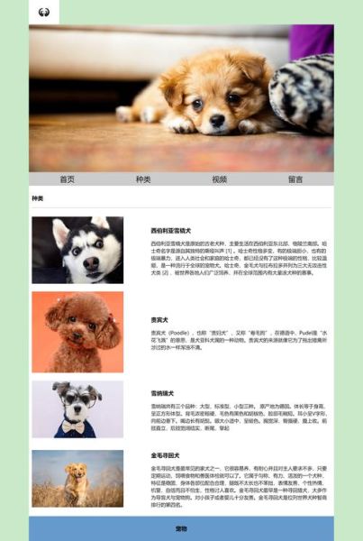 狗狗网页(哪个网站最专业)
