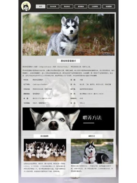 狗狗网页(哪个网站最专业)