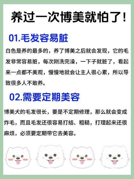 狗狗美容(还是选择性价比高的方案)