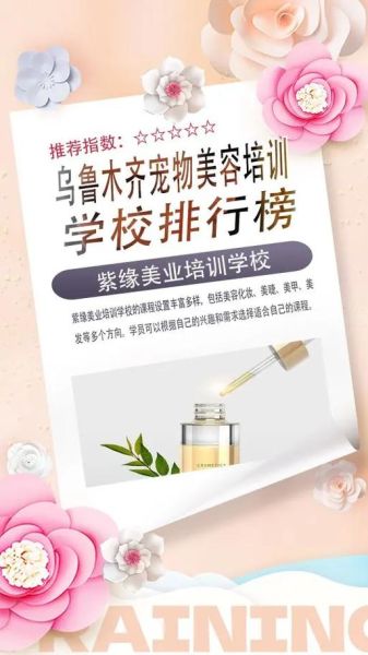 狗狗美容培训学校(宠物美容培训学校怎么选)