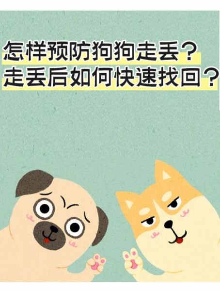 狗狗走丢一个月回家疯狂撞门(它是怎么找到回家的路的)