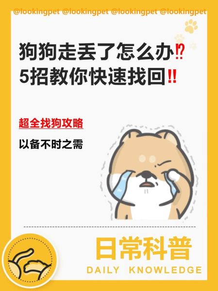 狗狗走丢了(怎么才能尽快找到它)