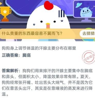 狗狗身上调节体温的汗腺(它们是靠舌头降温的吗)